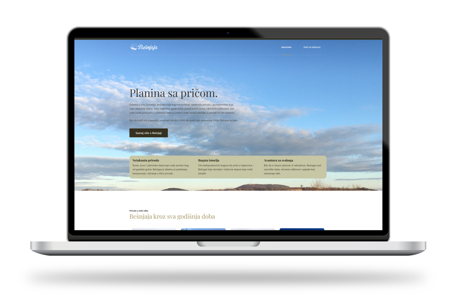 Bešnjaja website